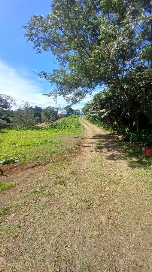 Finca Pantera Hotel Monteverde Kültér fotó