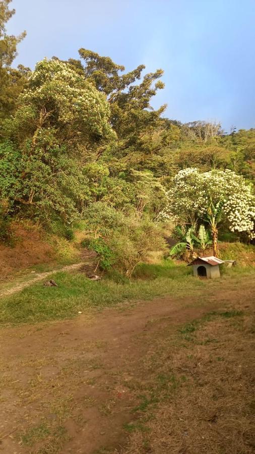 Finca Pantera Hotel Monteverde Kültér fotó