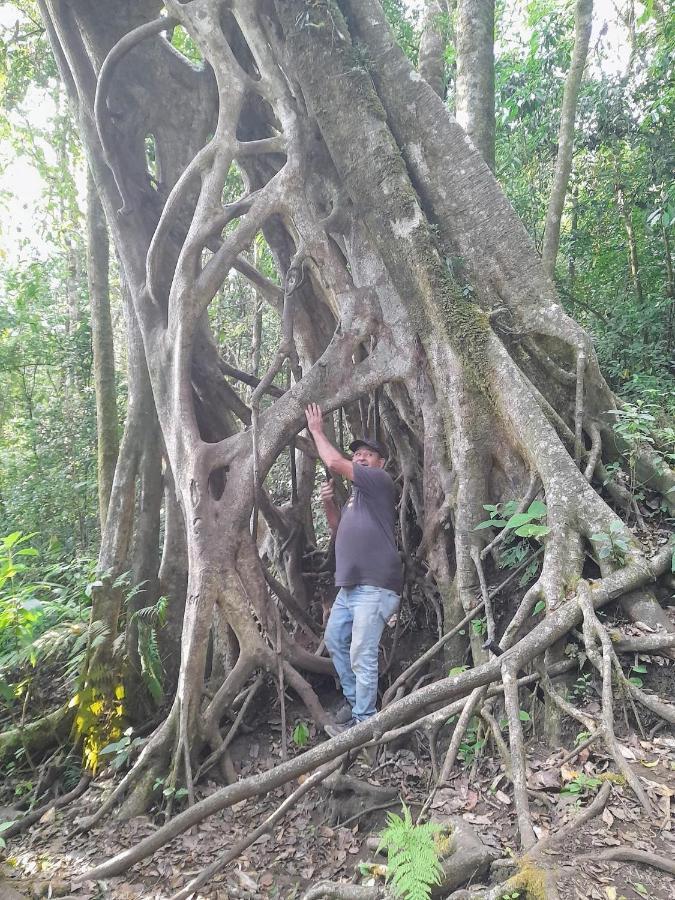 Finca Pantera Hotel Monteverde Kültér fotó