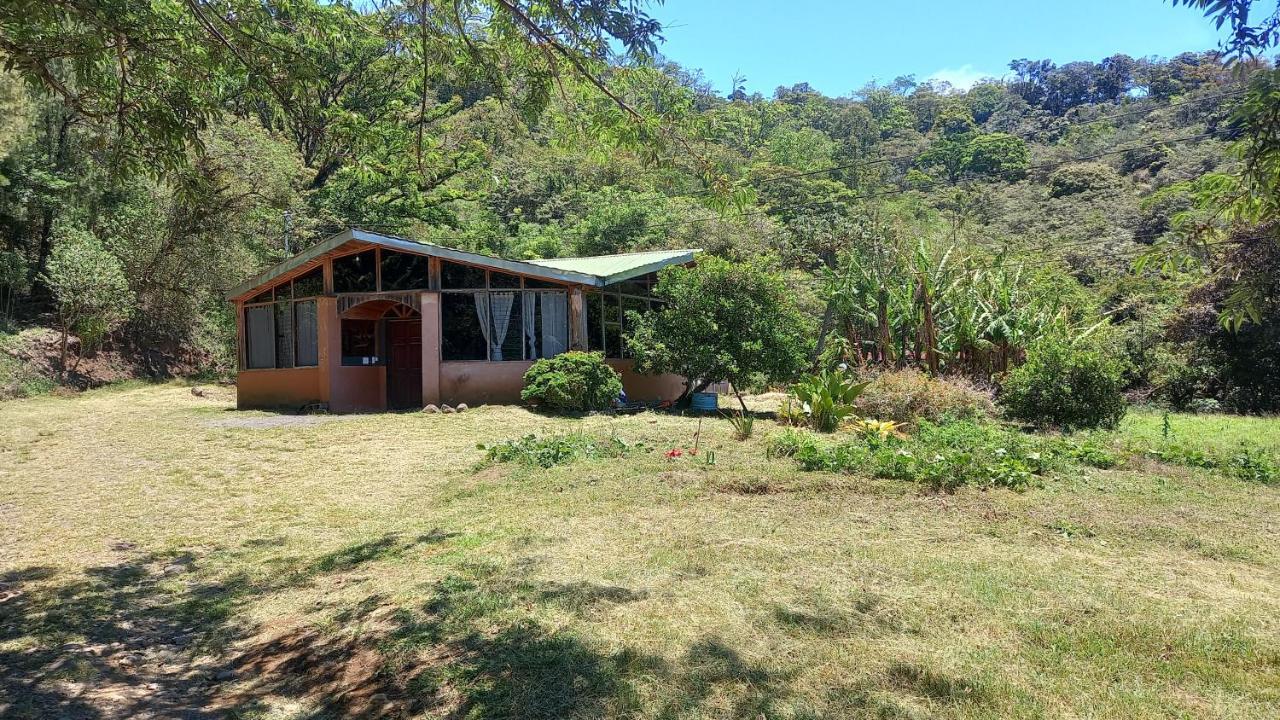 Finca Pantera Hotel Monteverde Kültér fotó